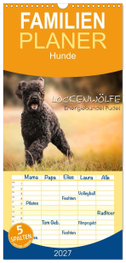 Familienplaner 2027 - Lockenwölfe - Energiebündel Pudel mit 5 Spalten (Wandkalender, 21 x 45 cm) CALVENDO