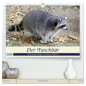 Der Waschbär - Der Maskenträger in unseren Wäldern (hochwertiger Premium Wandkalender 2024 DIN A2 quer), Kunstdruck in Hochglanz