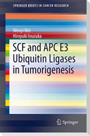 SCF and APC E3 Ubiquitin Ligases in Tumorigenesis