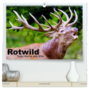 Rotwild. Edle Hirsche, stolze Kühe (hochwertiger Premium Wandkalender 2024 DIN A2 quer), Kunstdruck in Hochglanz