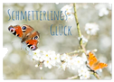 Schmetterlings-Glück (Wandkalender 2025 DIN A2 quer), CALVENDO Monatskalender