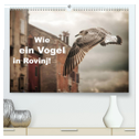 Wie ein Vogel in Rovinj! (hochwertiger Premium Wandkalender 2024 DIN A2 quer), Kunstdruck in Hochglanz