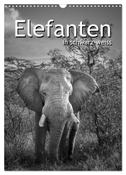 Elefanten in schwarz-weiss (Wandkalender 2024 DIN A3 hoch), CALVENDO Monatskalender