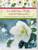 Es blüht eine Rose zur Winterzeit