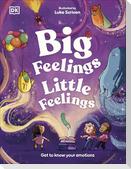 Big Feelings, Little Feelings