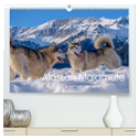 Alaskan Malamute in seinem Element (hochwertiger Premium Wandkalender 2025 DIN A2 quer), Kunstdruck in Hochglanz