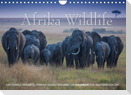 Emotionale Momente: Afrika Wildlife. Part 3. / CH-Version (Wandkalender 2022 DIN A4 quer)