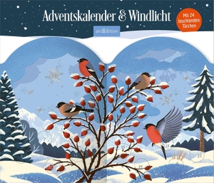 Windlicht-Adventskalender Winterzauber - Dekorativer Adventskalender zum Aufstellen mit 24 transparenten Türchen. Ars Edition GmbH, 2026.