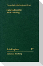 Naturphilosophie nach Schelling