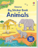 Big Sticker Book of Animals