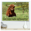 Das Schottische Hochlandrind (hochwertiger Premium Wandkalender 2024 DIN A2 quer), Kunstdruck in Hochglanz