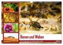 Bienen und Waben (Wandkalender 2024 DIN A3 quer), CALVENDO Monatskalender