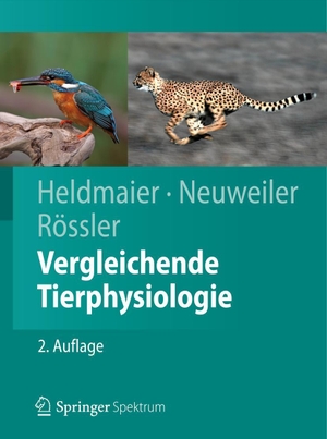 Heldmaier, Gerhard / Neuweiler, Gerhard et al. Vergleichende Tierphysiologie. Springer-Verlag GmbH, 2012.