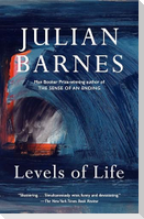 Levels of Life