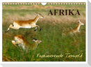 Afrika - Faszinierende Tierwelt (Wandkalender 2025 DIN A4 quer), CALVENDO Monatskalender