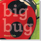 Big Bug