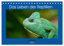 Das Leben der Reptilien (Tischkalender 2025 DIN A5 quer), CALVENDO Monatskalender
