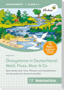 Ökosysteme in Deutschland: Wald, Fluss, Moor & Co
