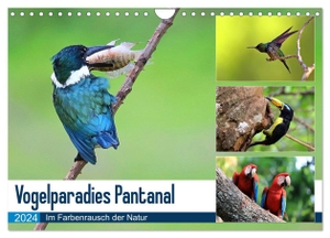 und Michael Herzog, Yvonne. Vogelparadies Pantanal (Wandkalender 2024 DIN A4 quer), CALVENDO Monatskalender - Vogelreichtum im Herzen Südamerikas. Calvendo, 2023.