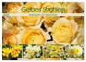 Gelbes Strahlen Blütenbilder (Wandkalender 2024 DIN A2 quer), CALVENDO Monatskalender