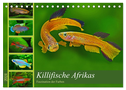 Killifische Afrikas (Tischkalender 2024 DIN A5 quer), CALVENDO Monatskalender