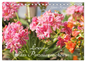 Lewisia, das Porzellanröschen (Tischkalender 2024 DIN A5 quer), CALVENDO Monatskalender