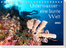 Unterwasser - eine bunte Welt (Tischkalender 2023 DIN A5 quer)