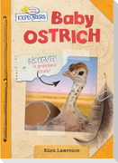 Baby Ostrich