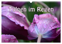 Tulpen im Regen (Wandkalender 2025 DIN A3 quer), CALVENDO Monatskalender