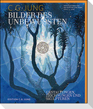 Bilder des Unbewussten