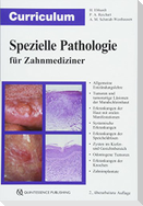 Curriculum Spezielle Pathologie für Zahnmediziner