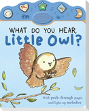What Do You Hear, Little Owl?