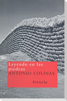 Leyendo en las piedras