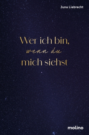 Liebrecht, Juna. Wer ich bin, wenn du mich siehst - Was bleibt, wenn Krieg alles nimmt | Roman über eine Liebe im Ukraine-Krieg. Molino GmbH, 2026.