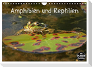 Amphibien und Reptilien (Wandkalender 2024 DIN A4 quer), CALVENDO Monatskalender
