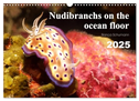 Nudibranchs on the ocean floor (Wall Calendar 2025 DIN A3 landscape), CALVENDO 12 Month Wall Calendar