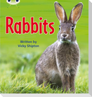 Bug Club Phonics - Phase 5 Unit 27: Rabbits