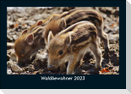 Waldbewohner 2023 Fotokalender DIN A5