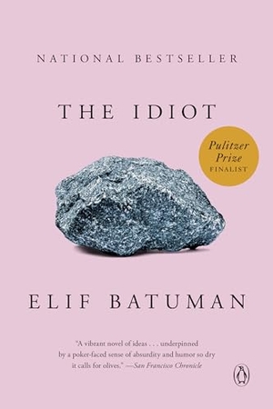 Batuman, Elif. The Idiot - A Novel. Penguin LLC  US, 2018.