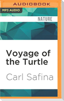 Voyage of the Turtle