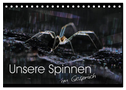 Unsere Spinnen - im Gespräch (Tischkalender 2025 DIN A5 quer), CALVENDO Monatskalender