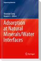 Adsorption at Natural Minerals/Water Interfaces