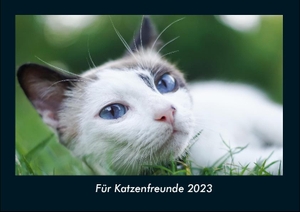 Tobias Becker. Für Katzenfreunde 2023 Fotokalender DIN A4 - Monatskalender mit Bild-Motiven von Haustieren, Bauernhof, wilden Tieren und Raubtieren. Vero Kalender, 2022.