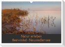 Natur erleben Seewinkel-Neusiedlersee (Wandkalender 2025 DIN A3 quer), CALVENDO Monatskalender
