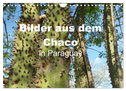 Bilder aus dem Chaco in Paraguay (Wandkalender 2024 DIN A4 quer), CALVENDO Monatskalender