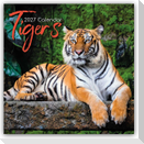 Tigers - Tiger 2027 - 16-Monatskalender