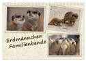 Erdmännchen Familienbande (Tischkalender 2024 DIN A5 quer), CALVENDO Monatskalender