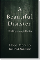 A Beautiful Disaster