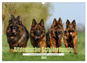 Altdeutsche Schäferhunde - Traumhafte Schäferhunde Langstockhaar (Wandkalender 2024 DIN A3 quer), CALVENDO Monatskalender
