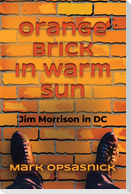 Orange Brick in Warm Sun